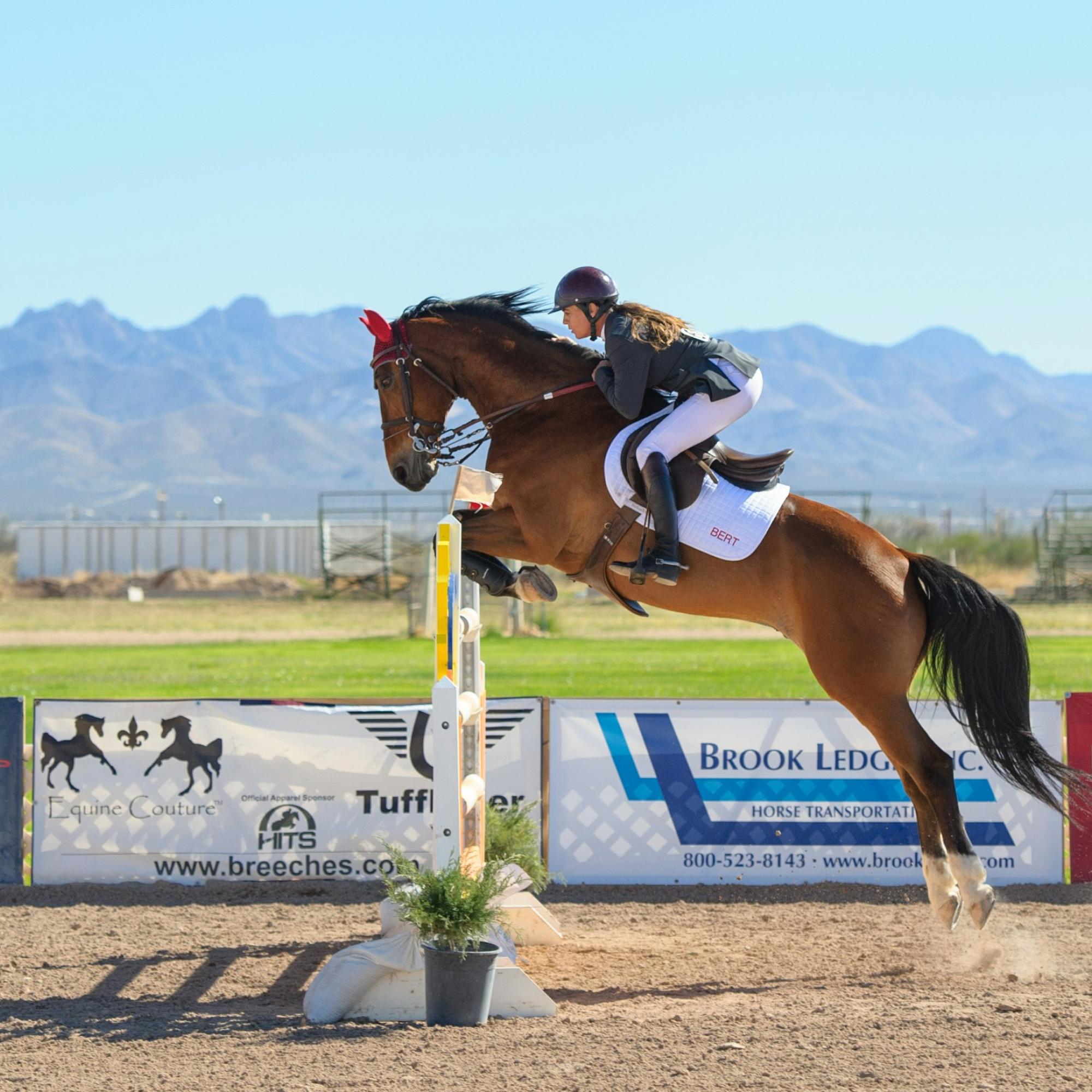 Horse riding over fence competition